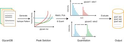 gQuant, an Automated Tool for Quantitative Glycomic Data Analysis